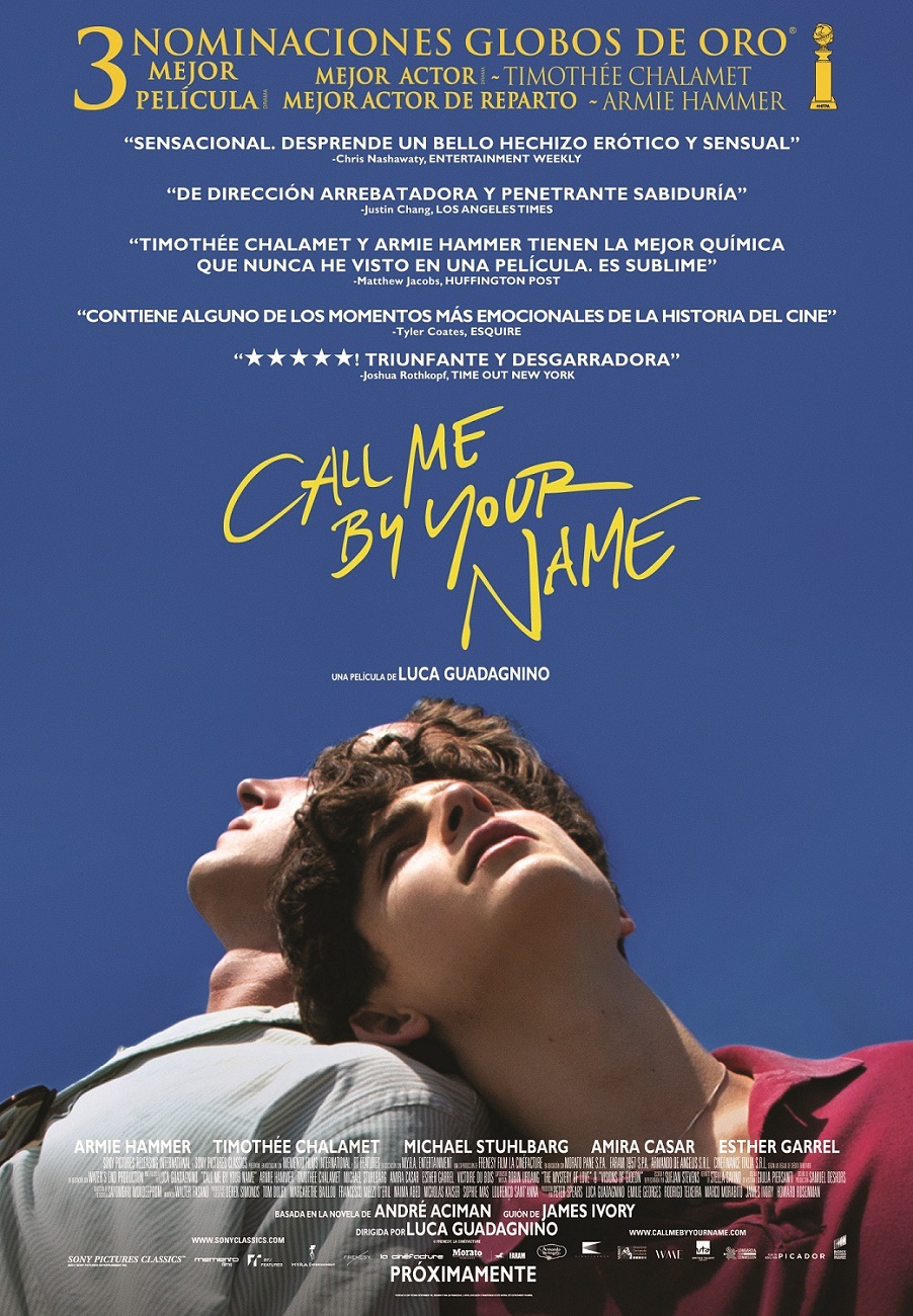 Cartel de Call Me by Your Name