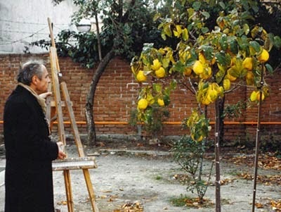 El sol del membrillo