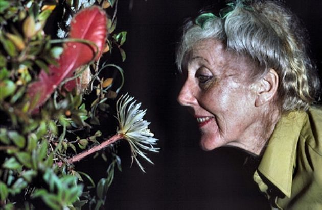 Margaret Mee y la flor de la luna