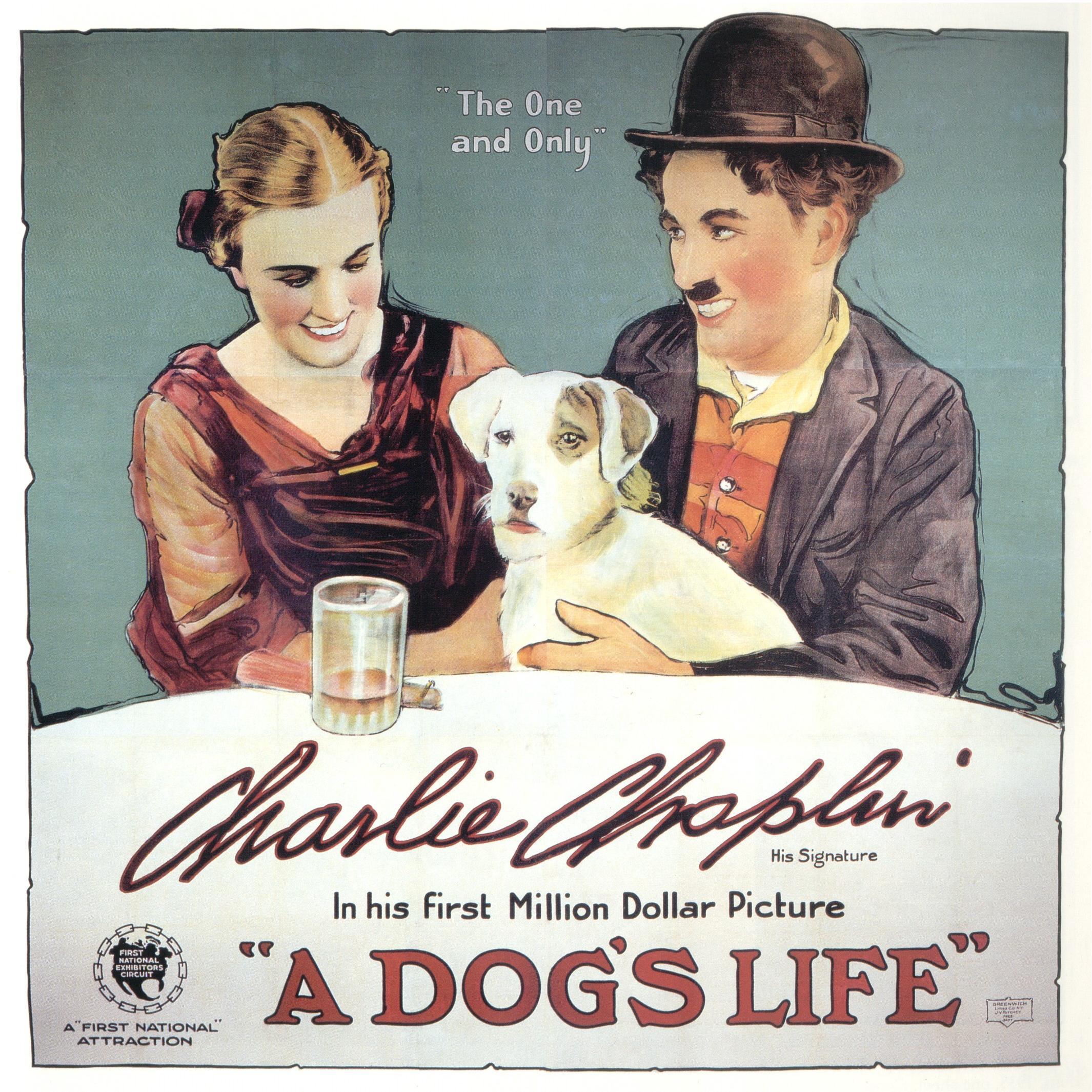 Cartel de Vida de perro
