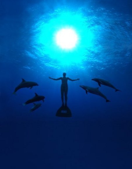 The cove