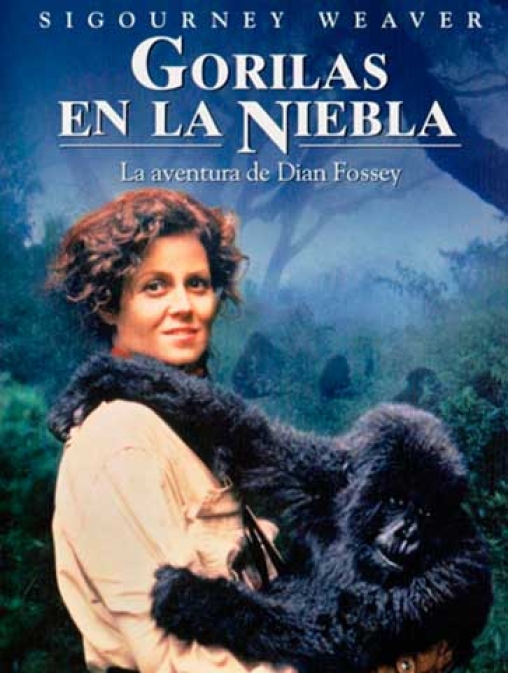 Cartel deGorilas en la niebla