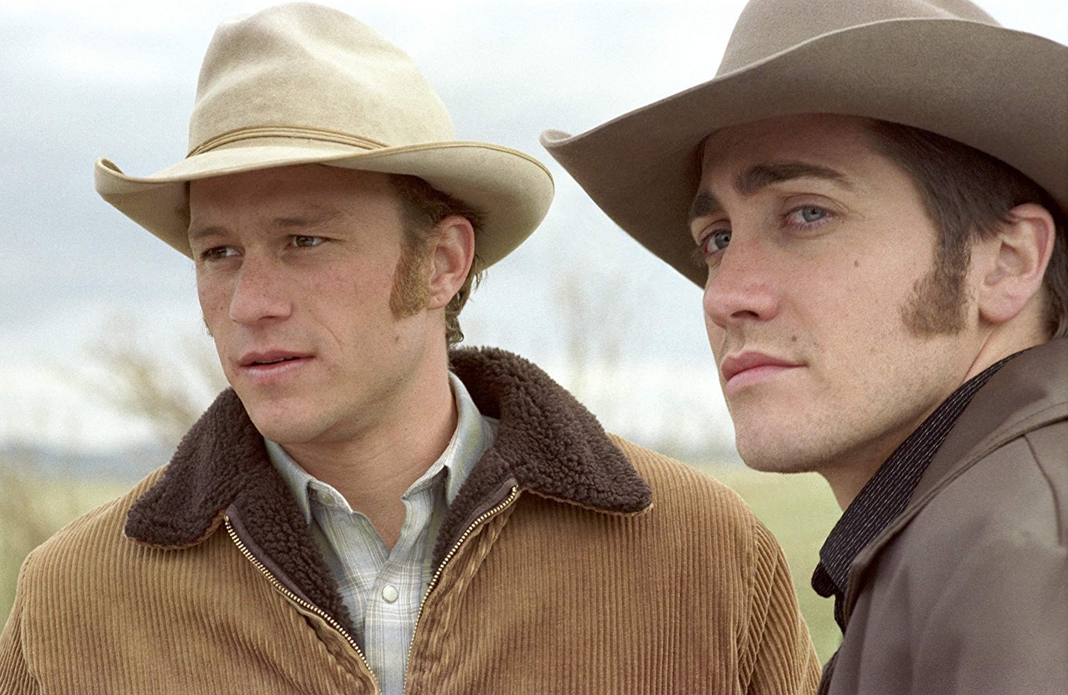 Brokeback mountain (En terreno vedado)