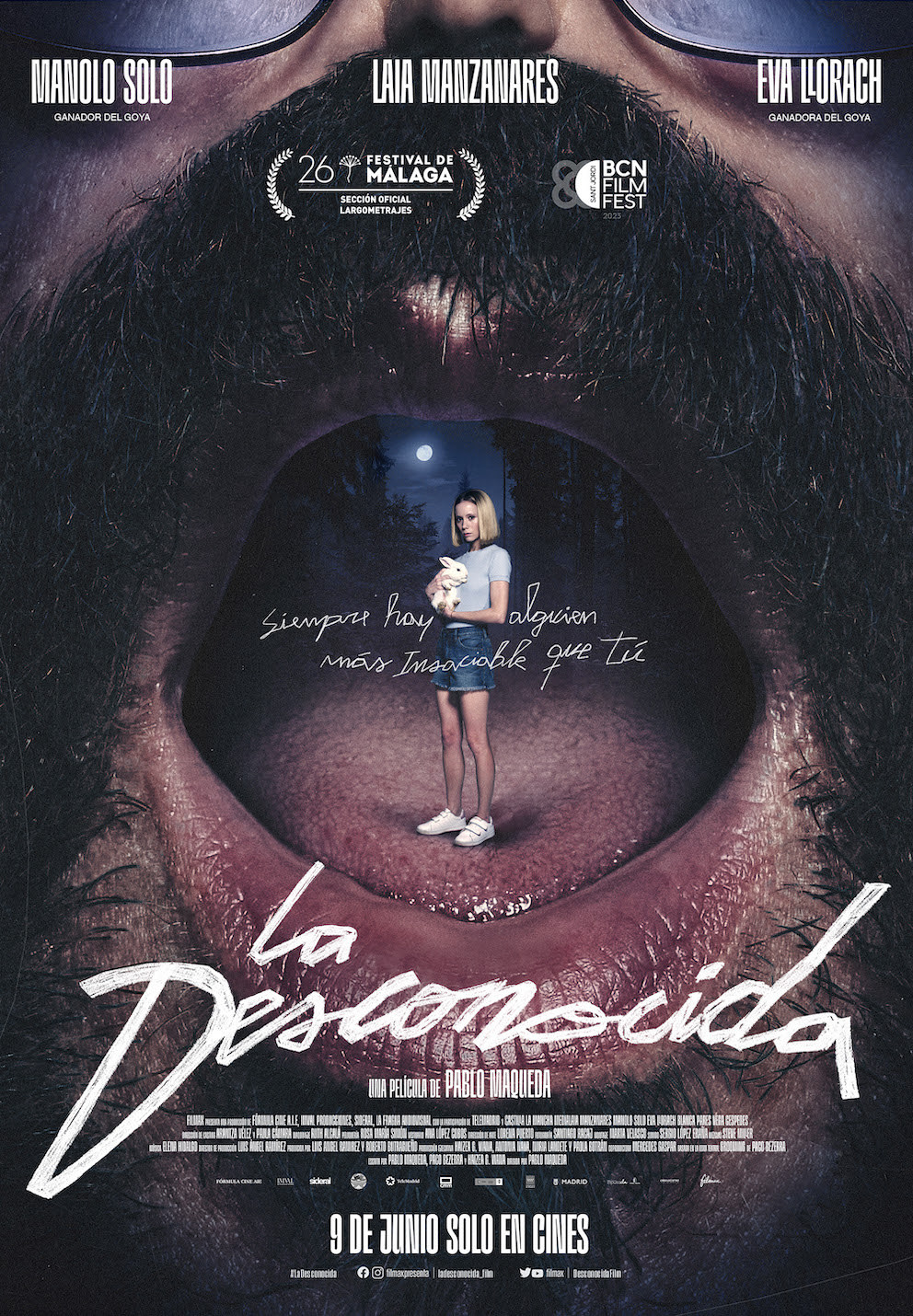 Cartel de La desconocida