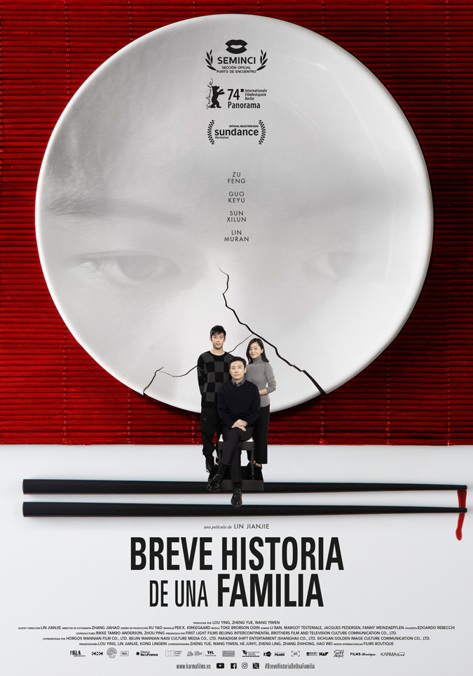 Cartel de Breve historia de una familia