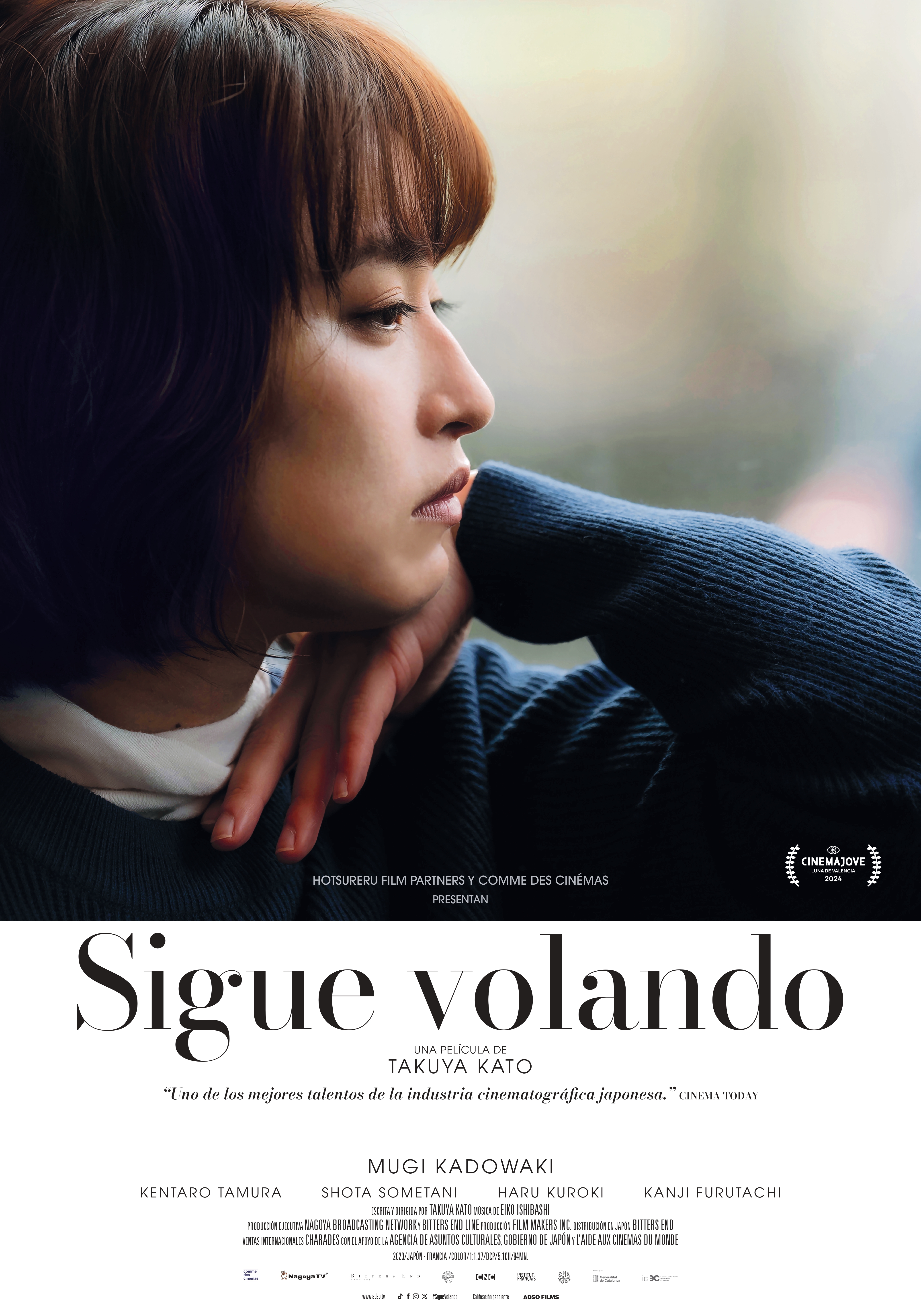Cartel de Sigue volando