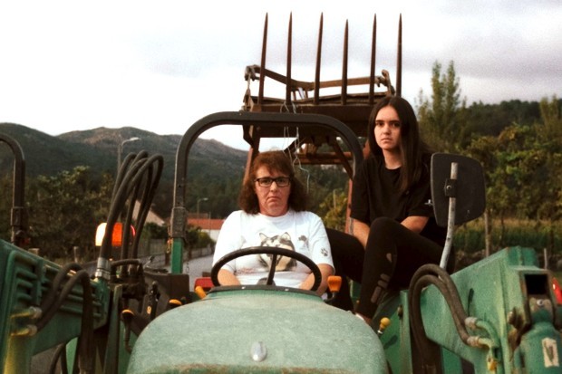 La sabana y la montaña