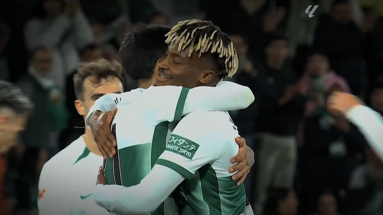 Corazón franjiverde