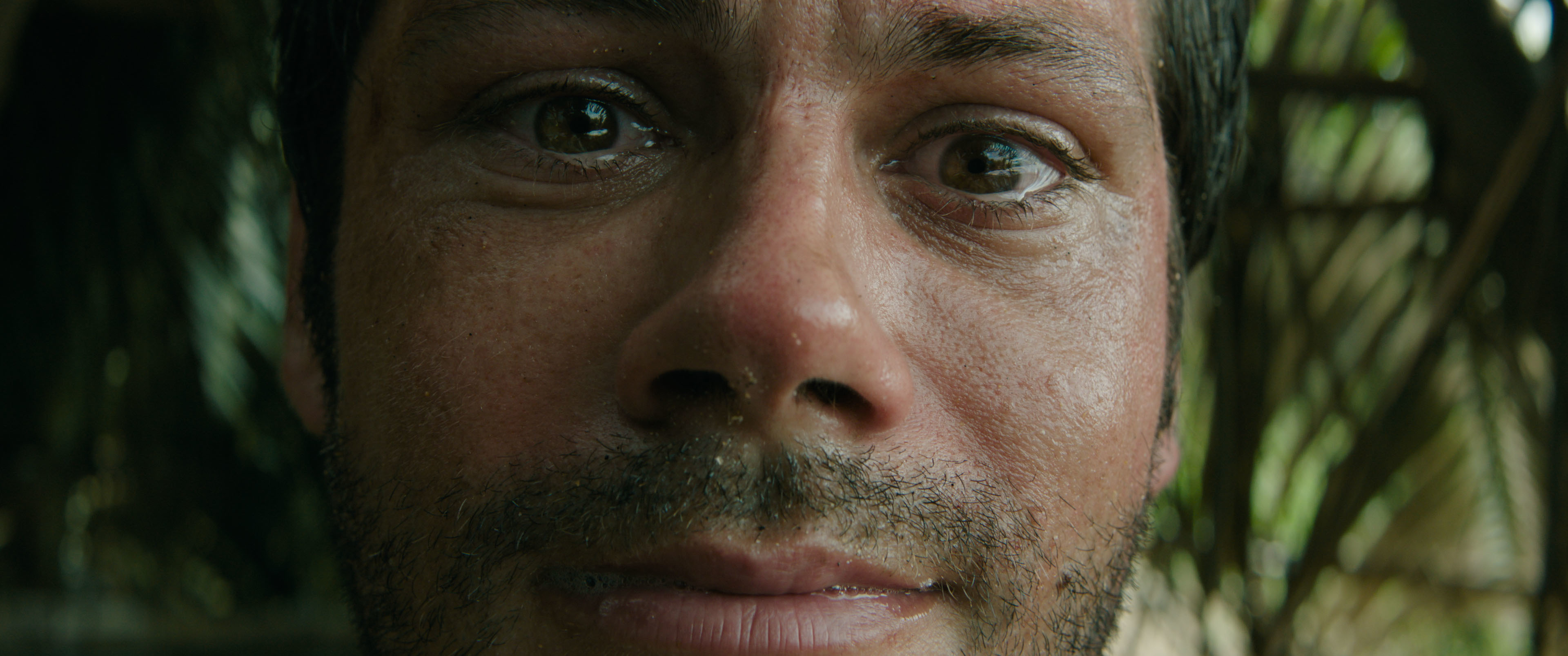 Send Help (enviad ayuda)