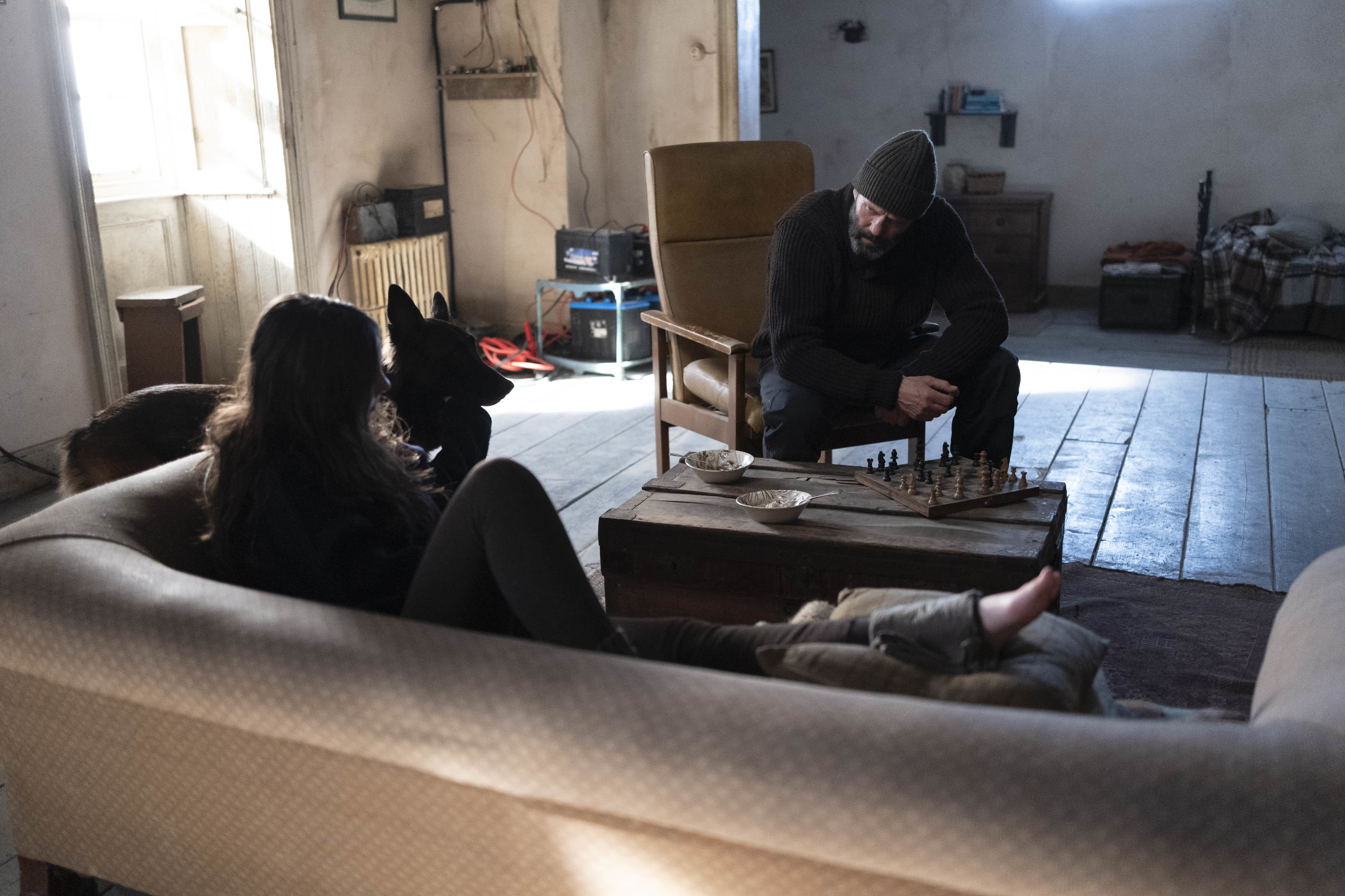 Shelter: El Protector