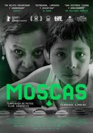 Cartel de Moscas